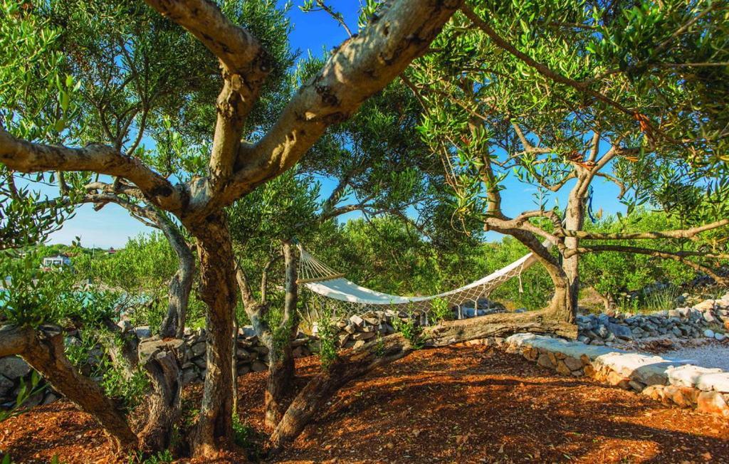 Luxury Villa Vela Rina Mali Drvenik Luaran gambar